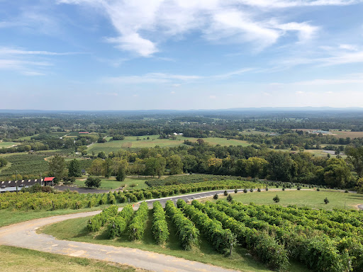 Winery «Bluemont Vineyard», reviews and photos, 18755 Foggy Bottom Rd, Bluemont, VA 20135, USA