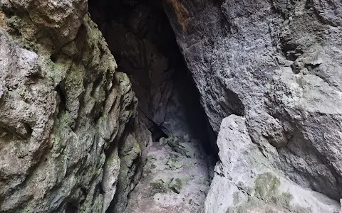 Peștera Ursilor image
