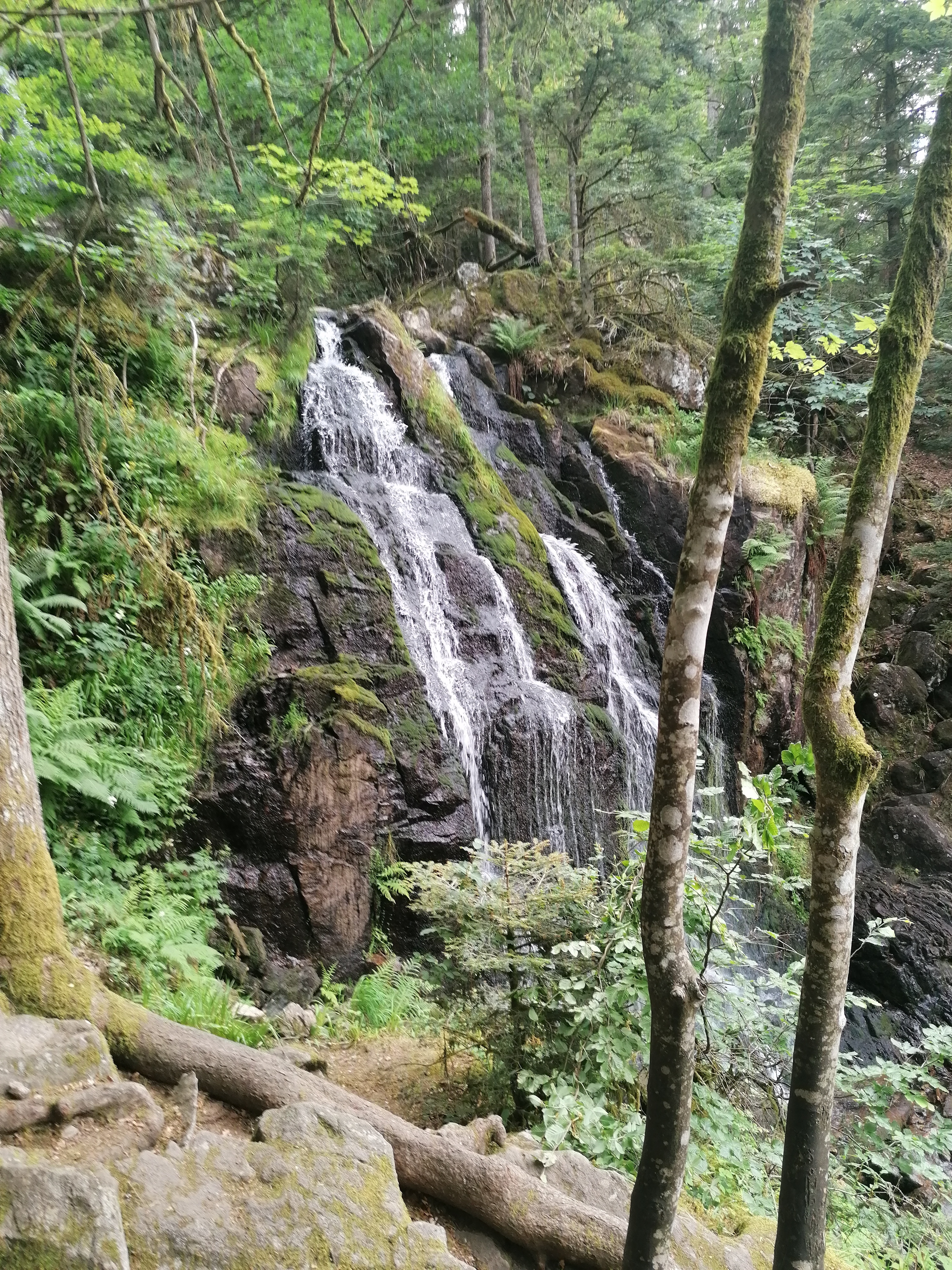 Photo n° 1 de l'avis de Fabrice.e fait le 08/07/2019 à 17:14