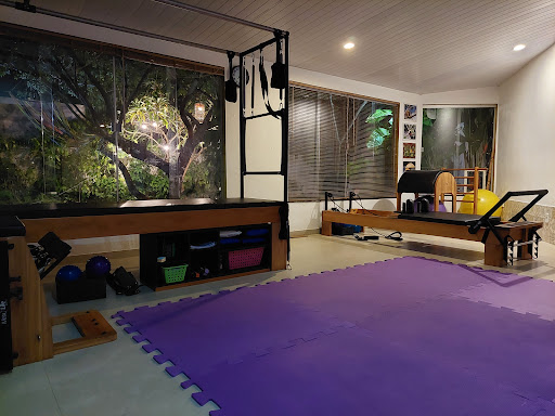 Logo da empresa - Artemis Pilates