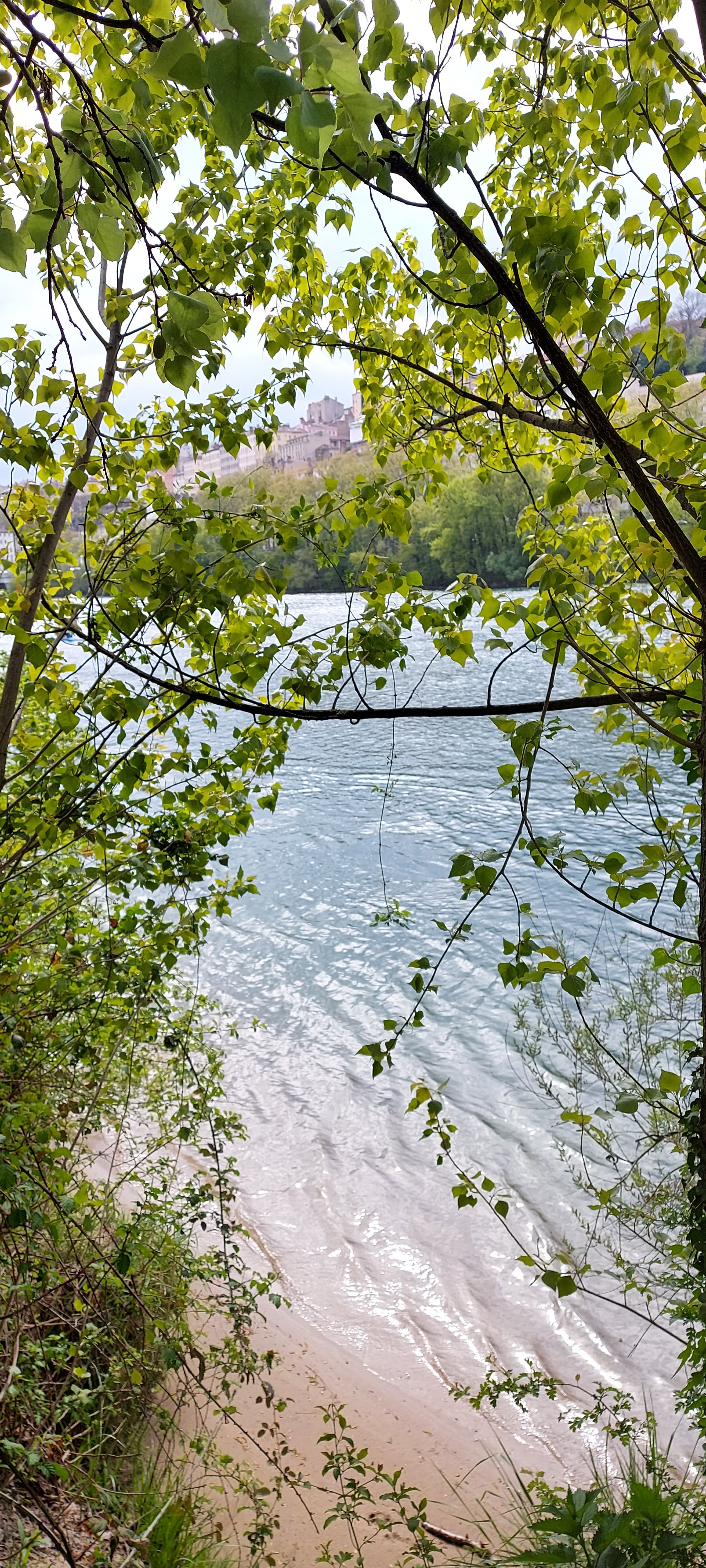 Photo n° 2 de l'avis de Marie.r fait le 22/04/2021 à 09:11