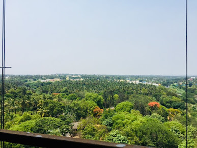 Google Maps image 33