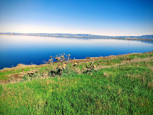 Public Golf Course «Shoreline Golf Links», reviews and photos, 2940 N Shoreline Blvd, Mountain View, CA 94043, USA