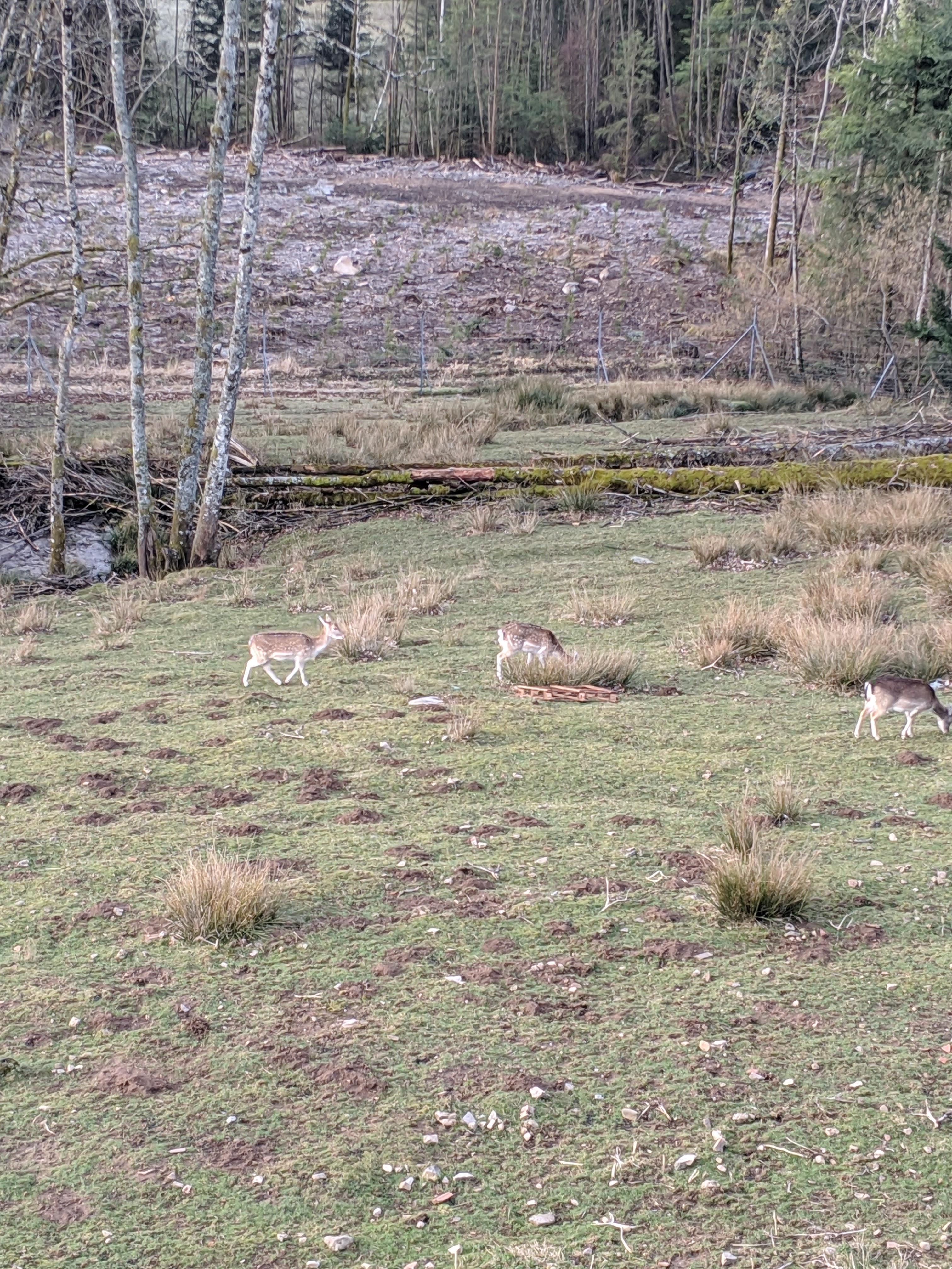 Photo n° 6 de l'avis de Yanegan.E fait le 08/03/2019 à 20:20
