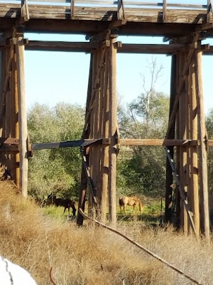 Coleman Park - photo 43