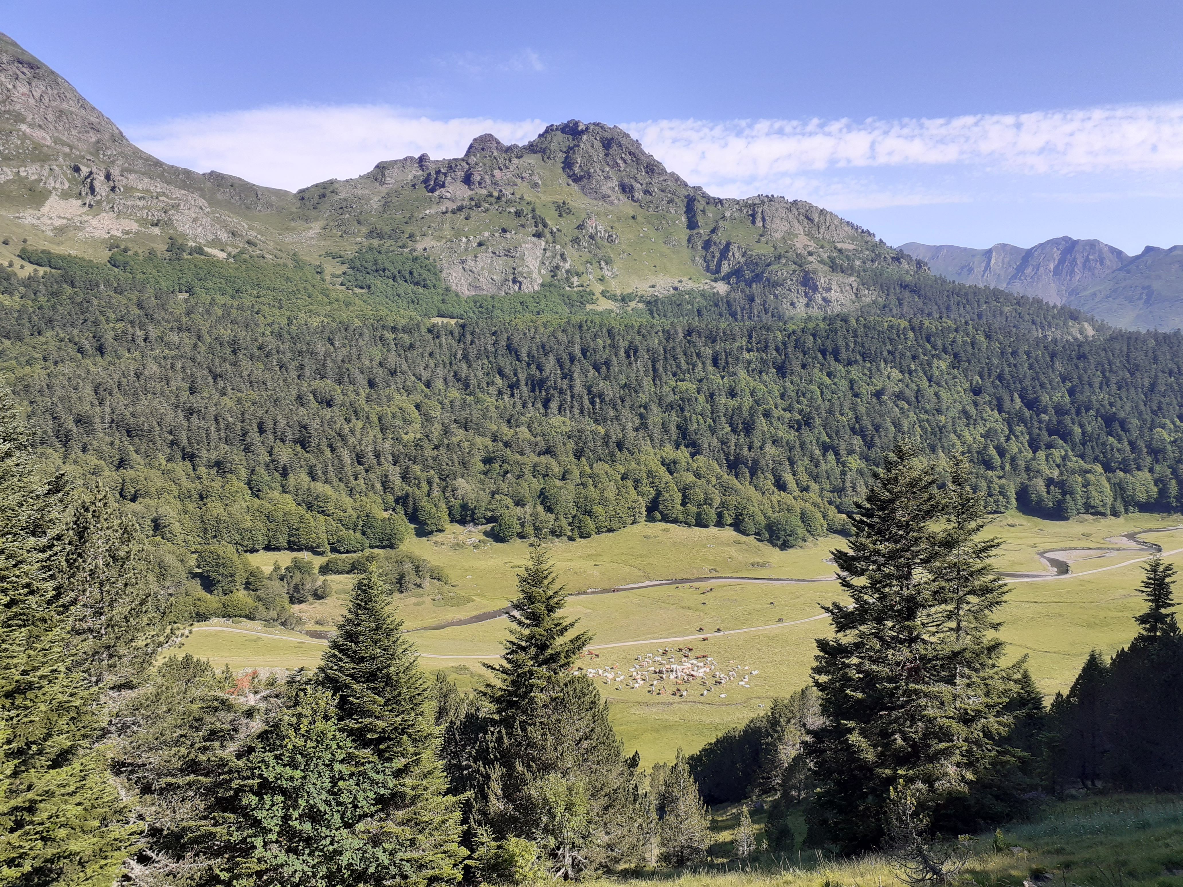 Photo n° 4 de l'avis de Lionel.o fait le 20/05/2023 à 04:32