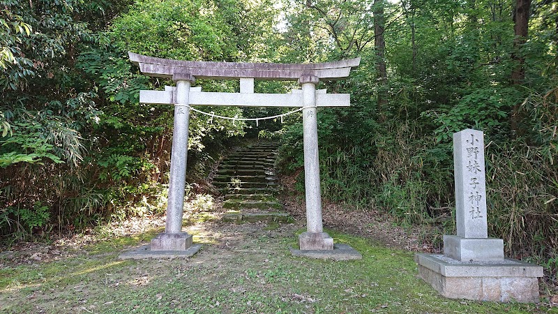 小野妹子神社(唐臼山古墳)