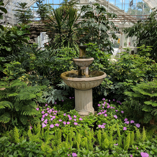 Coffee Shop «Starbucks», reviews and photos, 164 N York St, Elmhurst, IL 60126, USA