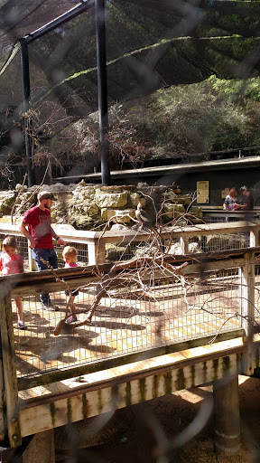 Zoo «Fort Worth Zoo», reviews and photos, 1989 Colonial Pkwy, Fort Worth, TX 76110, USA