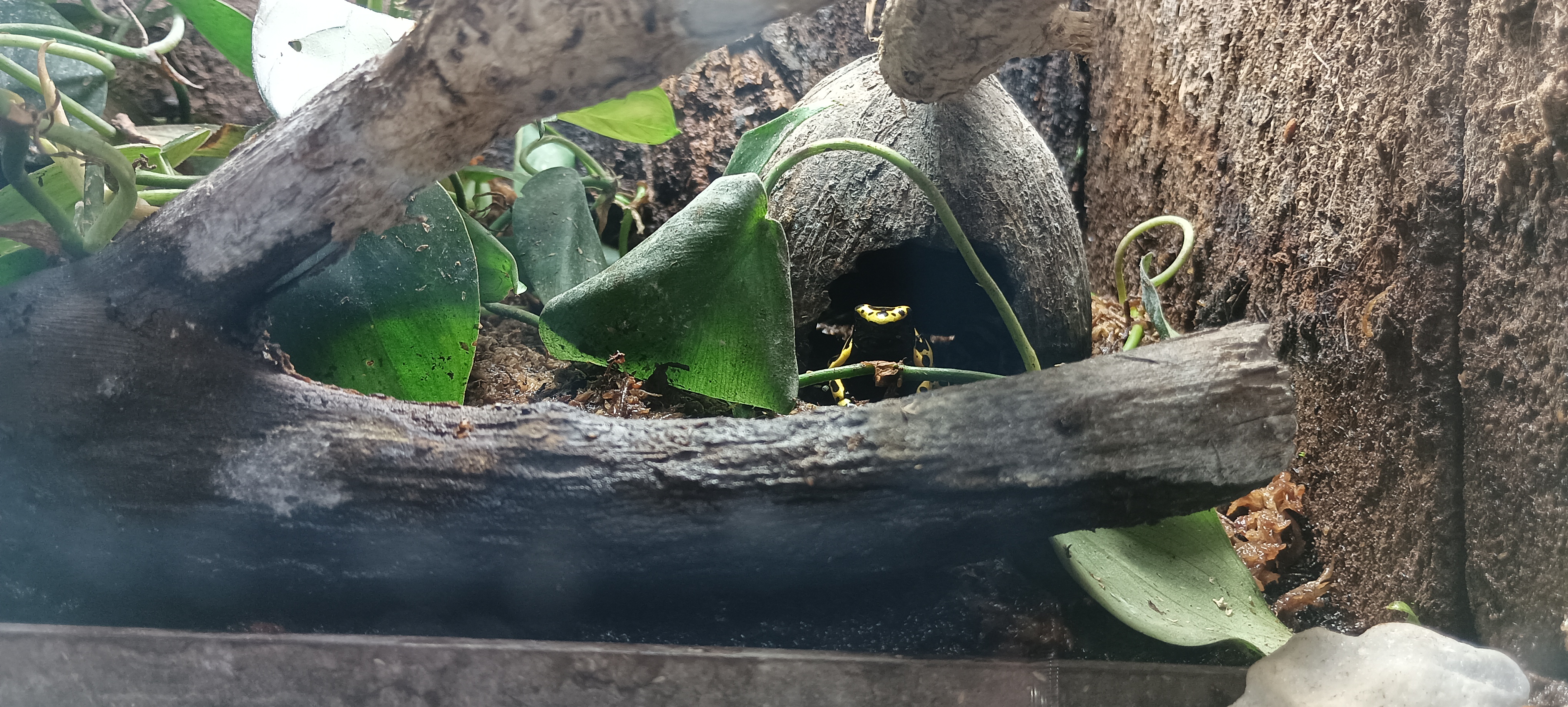 Photo n° 6 de l'avis de Antoine.i fait le 03/04/2023 à 08:17