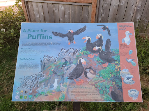 Tourist Attraction «Haystack Rock», reviews and photos, US-101, Cannon Beach, OR 97110, USA