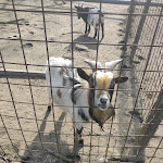 Photo n°1 de l'avis de denise.i fait le 27/02/2021 à 20:27 sur le  Agriturismo Cascina Venesia à Mezzanino