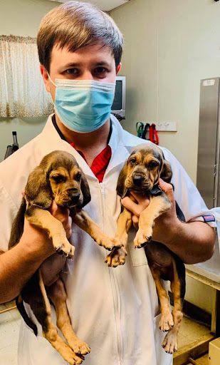 Bryan Hight Veterinary Hospital & Urgent Care image