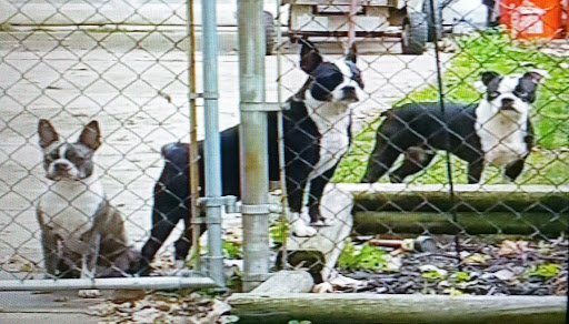 Pet Supply Store «Pet Supplies Plus», reviews and photos, 22124 Ecorse Rd, Taylor, MI 48180, USA