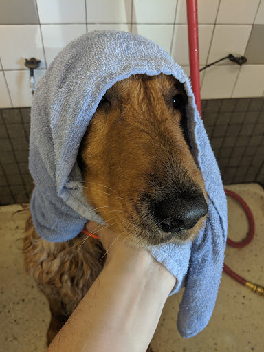 Pet Supply Store «Pet Food Express», reviews and photos, 3910 Middlefield Rd, Palo Alto, CA 94303, USA