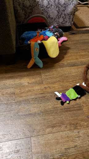 Pet Supply Store «Pet Supplies Plus», reviews and photos, 1268 N Eisenhower Dr, Beckley, WV 25801, USA