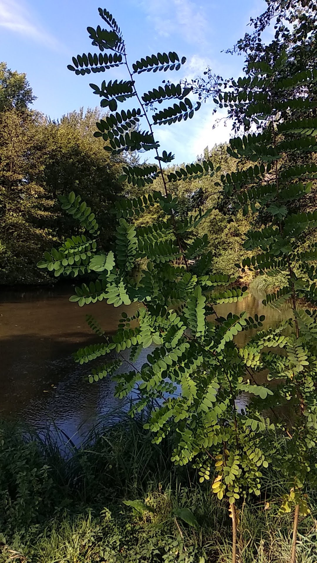 Photo n° 13 de l'avis de Timotée.r fait le 06/10/2018 à 13:14