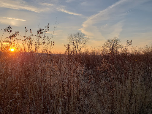 Hiking Area «Hadley Valley - Route 6 Access», reviews and photos, 16504 Maple Rd, Joliet, IL 60432, USA