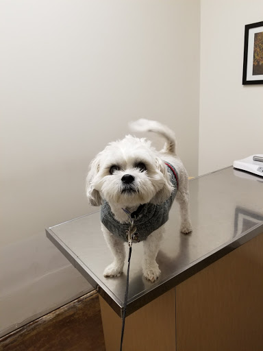 Ark Pet Center image