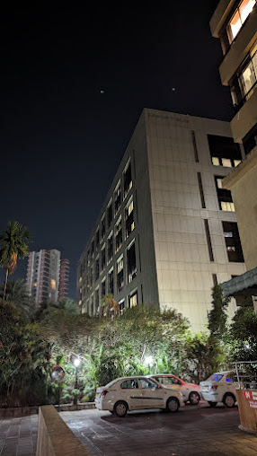 Google Maps image 12