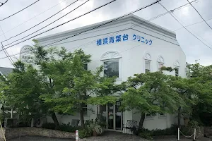 Yokohama Aobadai Clinic image