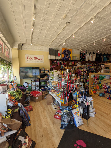 Pet Supply Store «The Dog Store», reviews and photos, 2301 Mt Vernon Ave, Alexandria, VA 22301, USA