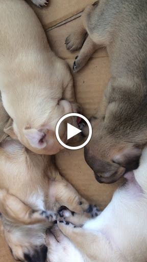 Department Store «Marshalls», reviews and photos, 1431 NY-300, Newburgh, NY 12550, USA