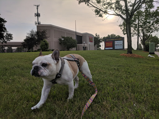 Bank «Wells Fargo Bank», reviews and photos