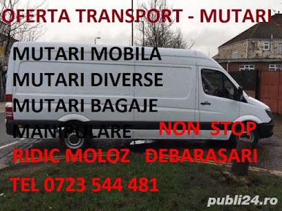 Transport marfa - Mutari Mobila - Bagaje - Diverse Obiecte