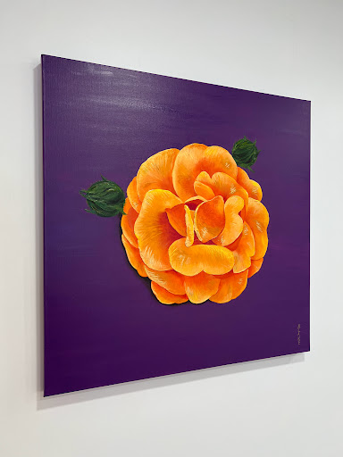 Health Food Store «Tiny Taiga», reviews and photos, 1200 E 11th St #106, Austin, TX 78702, USA