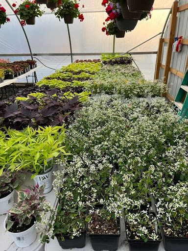 Florist «TG Designs», reviews and photos, 19231 Longmeadow Rd, Hagerstown, MD 21742, USA