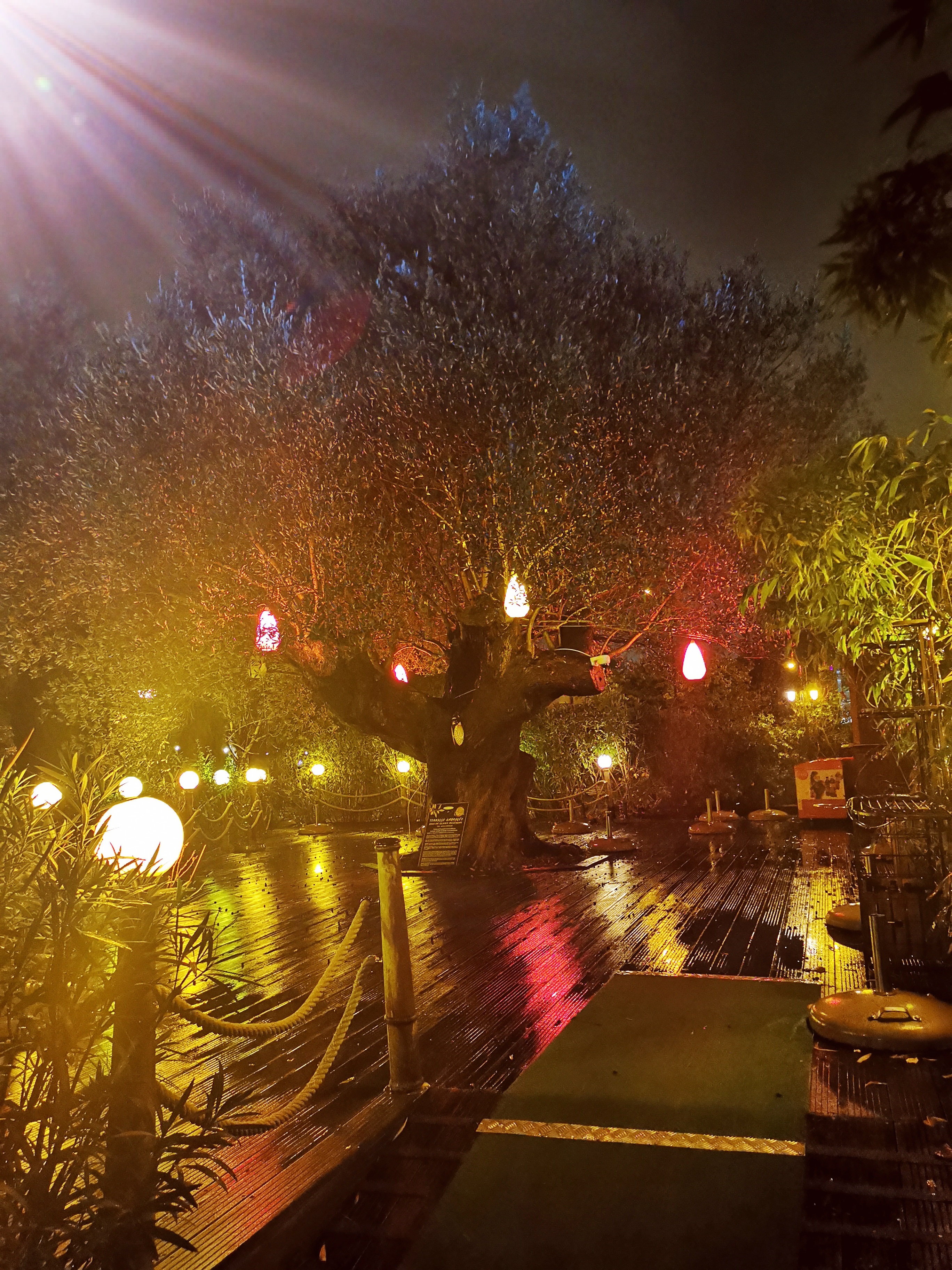 Photo n° 1 de l'avis de Delphine.a fait le 08/11/2019 à 19:30