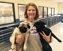 Pawtropolis East Athens - Photo 4 - Car repair in Athens, GA, Athens