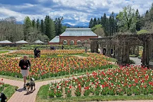 Biltmore Walled Garden image