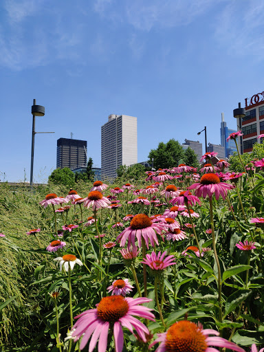 Park «Schuylkill Banks», reviews and photos, 2501 Walnut St, Philadelphia, PA 19103, USA