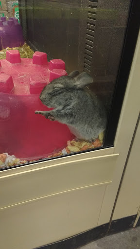 Pet Supply Store «PetSmart», reviews and photos, 5640 Cedar Lake Rd, Minneapolis, MN 55416, USA