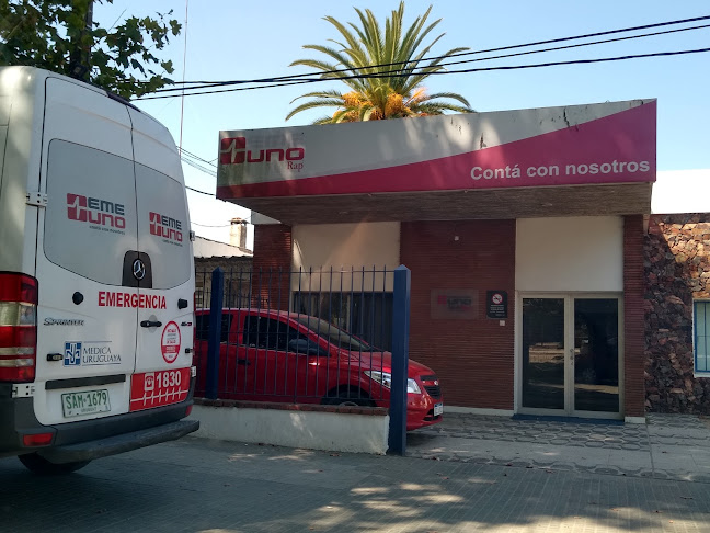 Médica Uruguaya - Piedras Blancas - Dentista