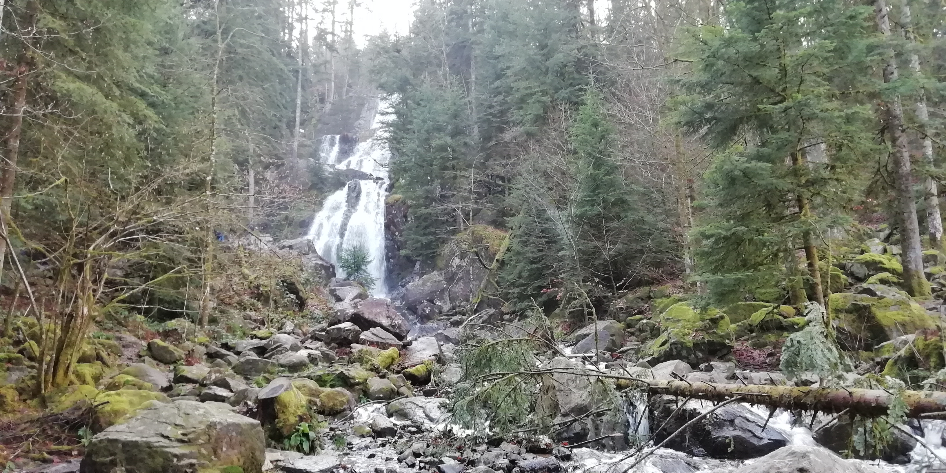 Photo n° 1 de l'avis de Olivier.e fait le 28/12/2019 à 22:18