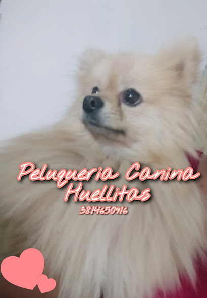 Peluquería Canina Huellitas
