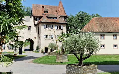 Schloss Beuggen image