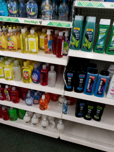 Dollar Store «Dollar Tree», reviews and photos, 11236 S Saginaw St A, Grand Blanc, MI 48439, USA