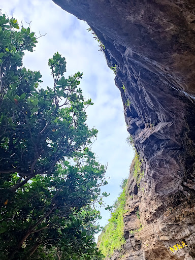 Top 20 cửa hàng akemi Huyện Lý Sơn Quảng Ngãi 2022