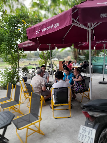 Hình Ảnh Cafe Hoa Nắng