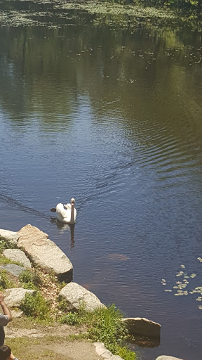 Park «Pond Meadow Park», reviews and photos, 470 Liberty St, Braintree, MA 02184, USA