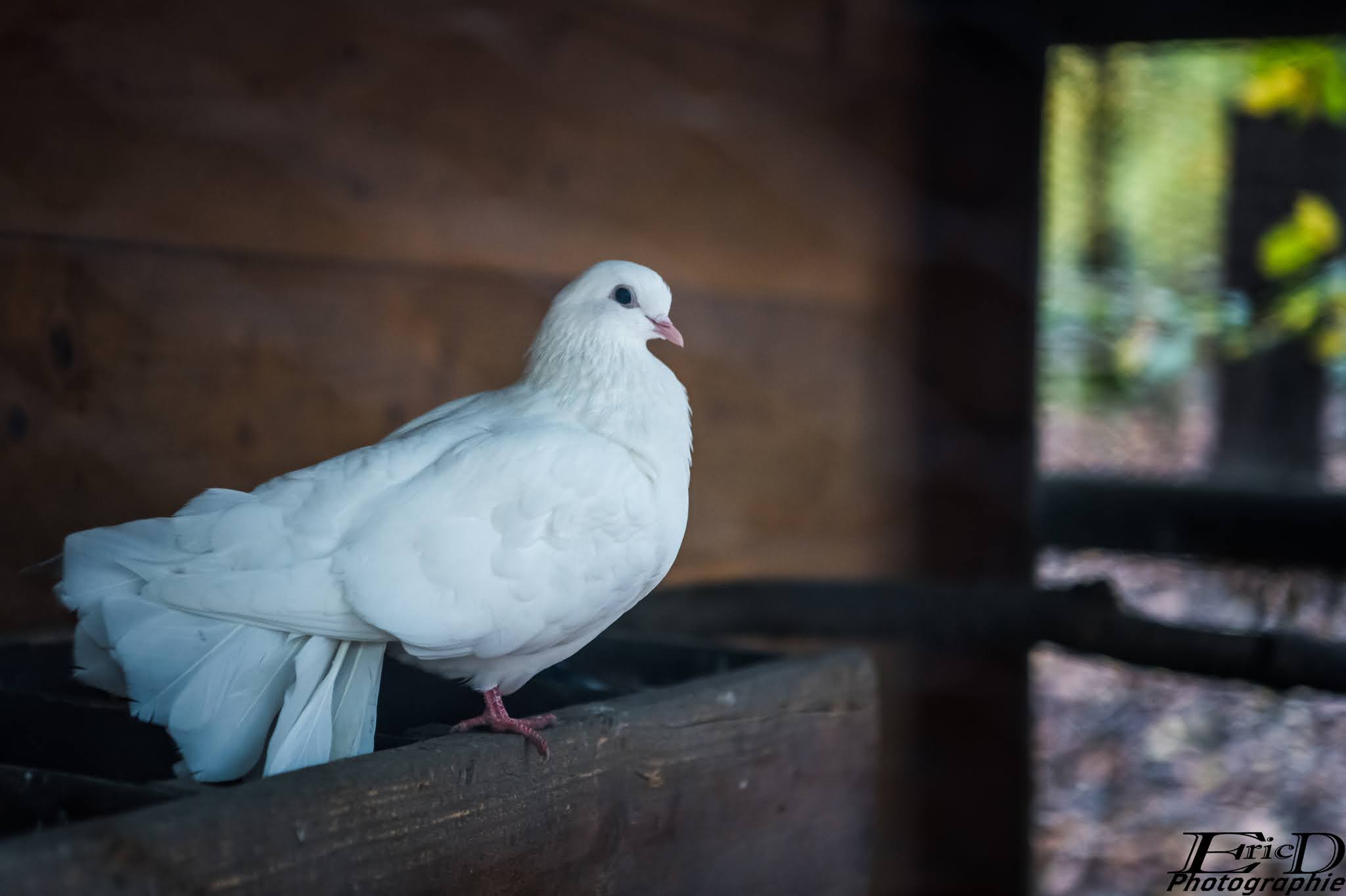 Photo n° 9 de l'avis de Ricou.H fait le 28/10/2020 à 16:42