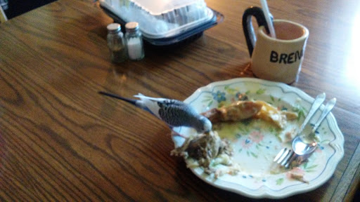 Pet Store «Fish Bowl & Pet Shop», reviews and photos, 2519 Mercer St, Stoneboro, PA 16153, USA