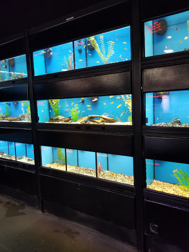 Pet Supply Store «Pet Goods», reviews and photos, 10 Commerce Blvd, Succasunna, NJ 07876, USA