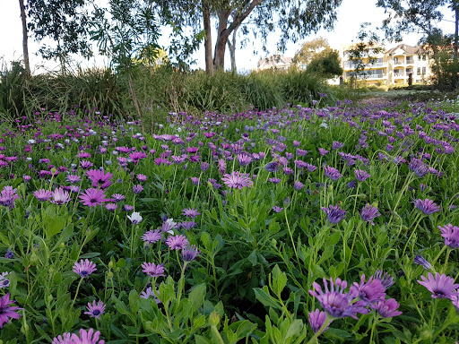 Mardalup Park