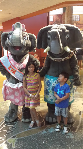 Movie Theater «AMC Desert Star 15», reviews and photos, 1301 Kalahari Dr, Baraboo, WI 53913, USA