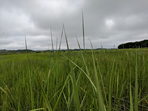 State Park «Cheesequake State Park», reviews and photos, 300 Gordon Rd, Matawan, NJ 07747, USA